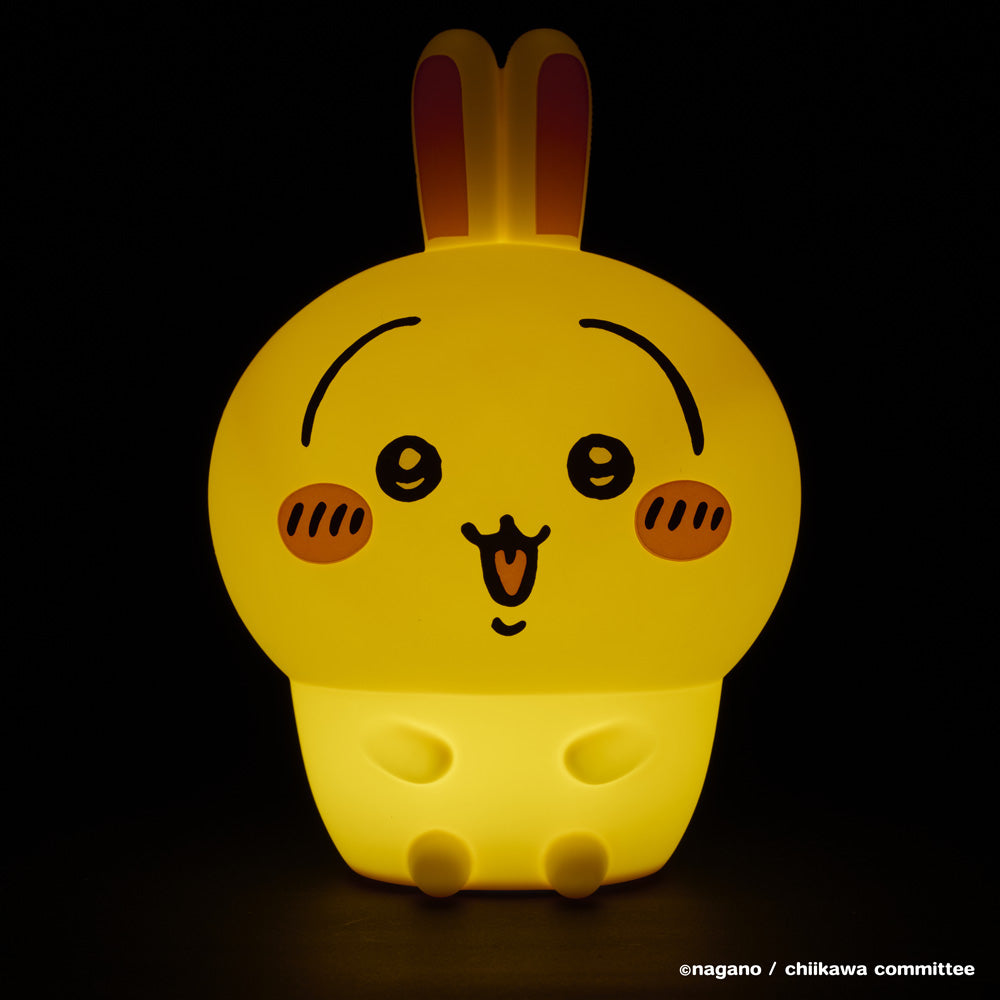 Chiikawa Oitemiru Light (Usagi)