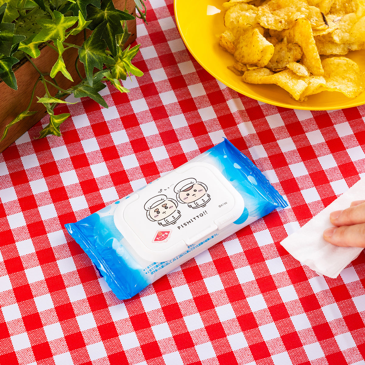 치이카와 치이카와레스토랑 비탓토 미니 (PISHITTO!!)