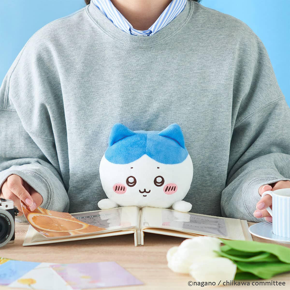 ちいかわ ふんばるず(ハチワレ)