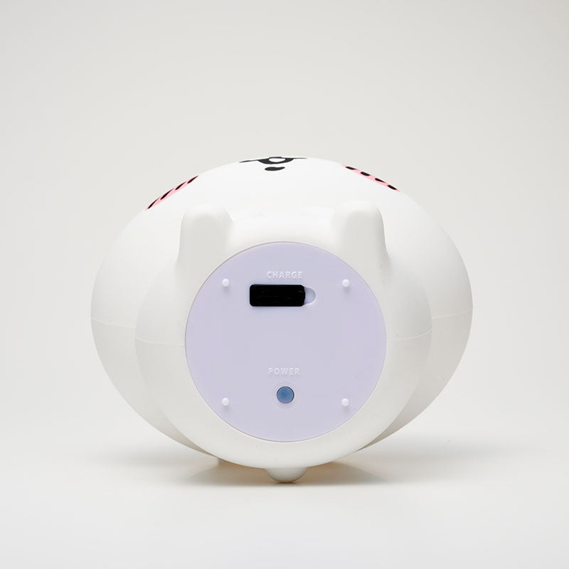 치이카와 룸 라이트 (치이카와)