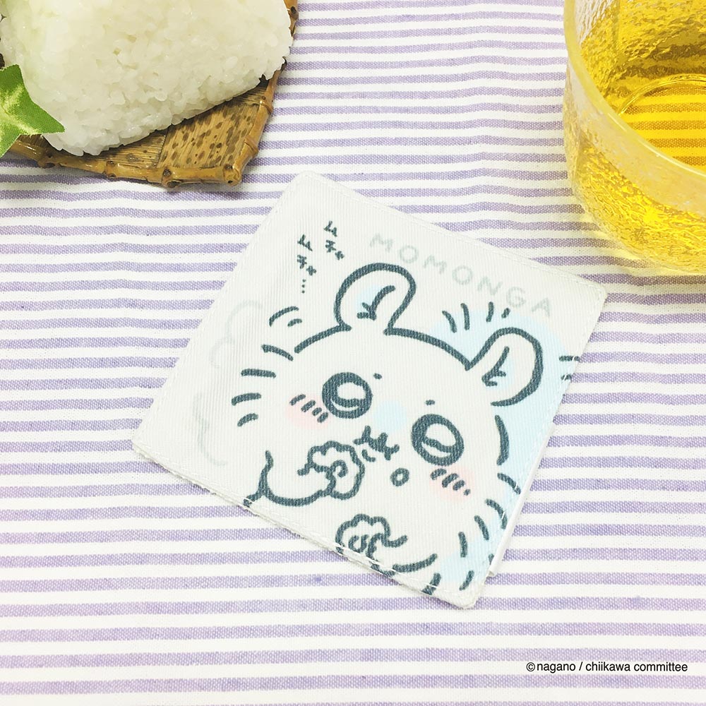 치이카와 코스터 (모몽가)