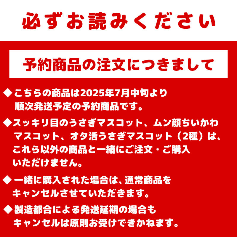 【予約】ちいかわ ムン顔ちいかわマスコット【2025年7月中旬より順次発送予定（発送延期の場合もキャンセル不可）】【通常商品と同時購入・配送希望日指定不可】【キャンペーン対象外】