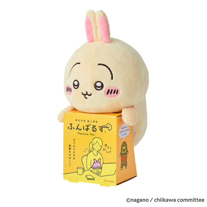 치이카와 훈바루즈 (우사기)
