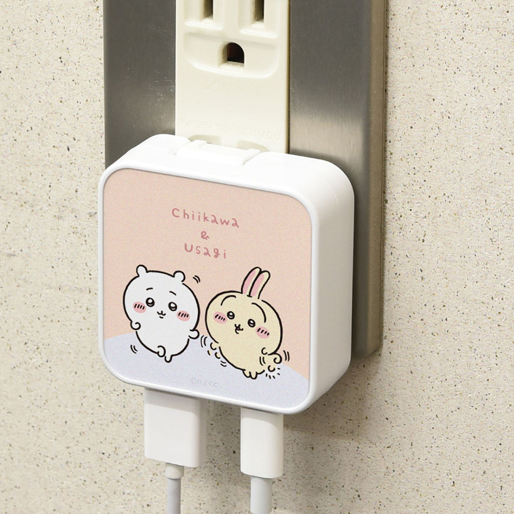 치이카와 USB/USB Type-C AC 어댑터 (치이카와 & 우사기)