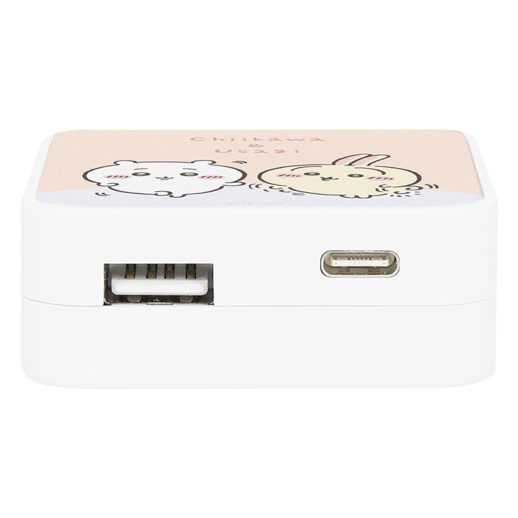 치이카와 USB/USB Type-C AC 어댑터 (치이카와 & 우사기)