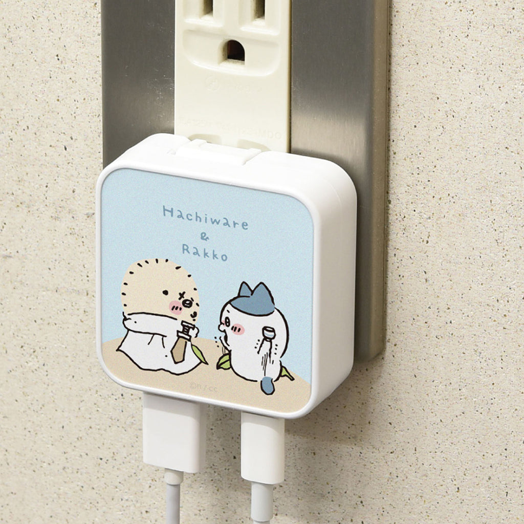 Chiikawa USB/USB Type-C AC Adapter (Hachiware & Rakko)
