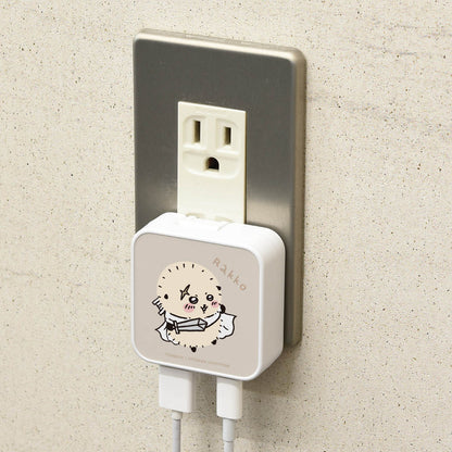 Chiikawa USB/USB Type-C AC Adapter (Rakko)
