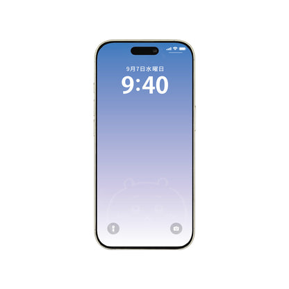 치이카와 iPhone16Pro 호환 강화유리 스크린 프로텍터 (치이카와)