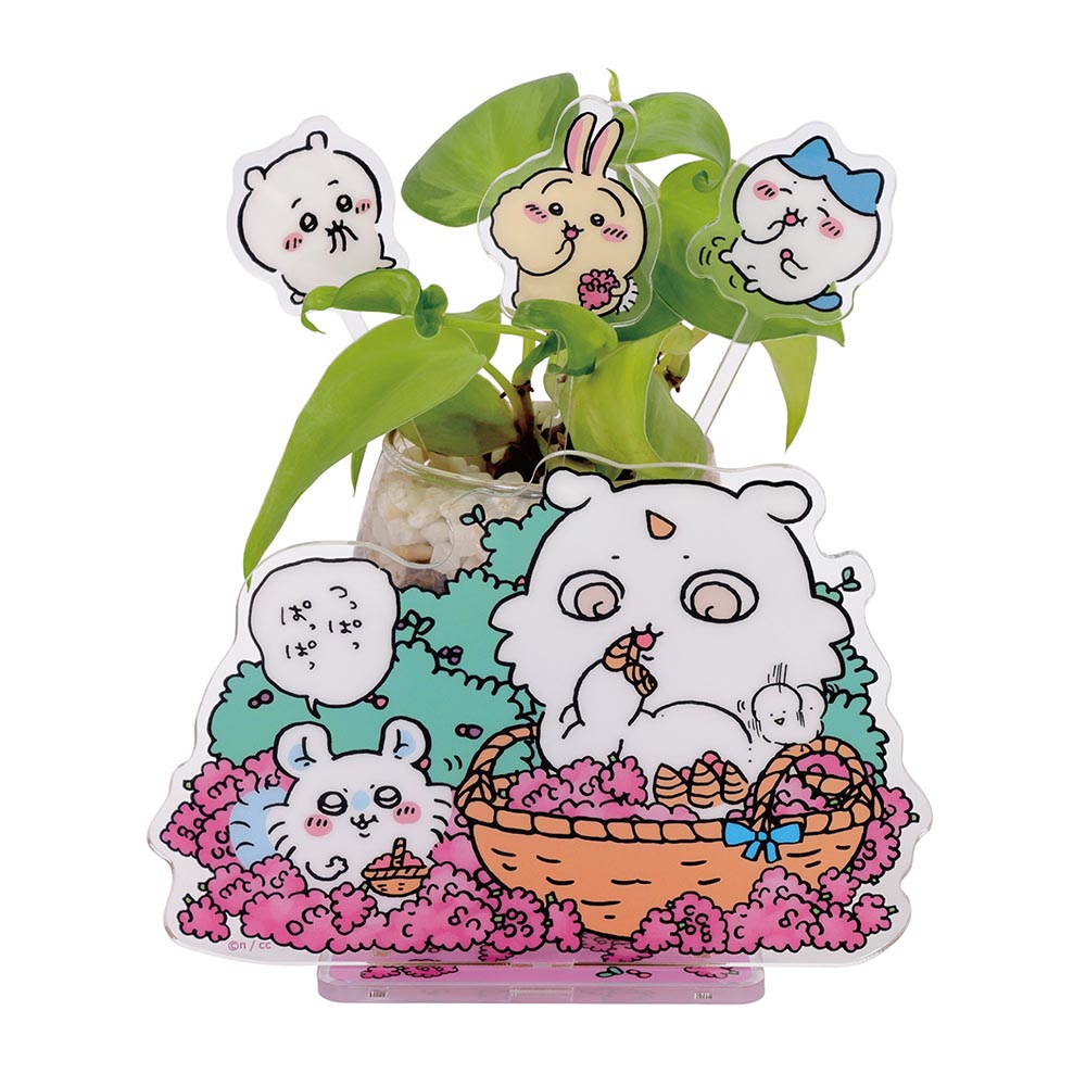 吉伊卡哇 2WAY 立體展示架（③頂起來！）